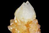 Sunshine Cactus Quartz Crystal - South Africa #80224-1